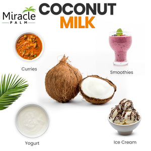 Miracle Palm Coconut Milk Unsweetened - Coconut Milk Canned, Additive Free Coconut Milk Organic (13.5 Fl Oz)